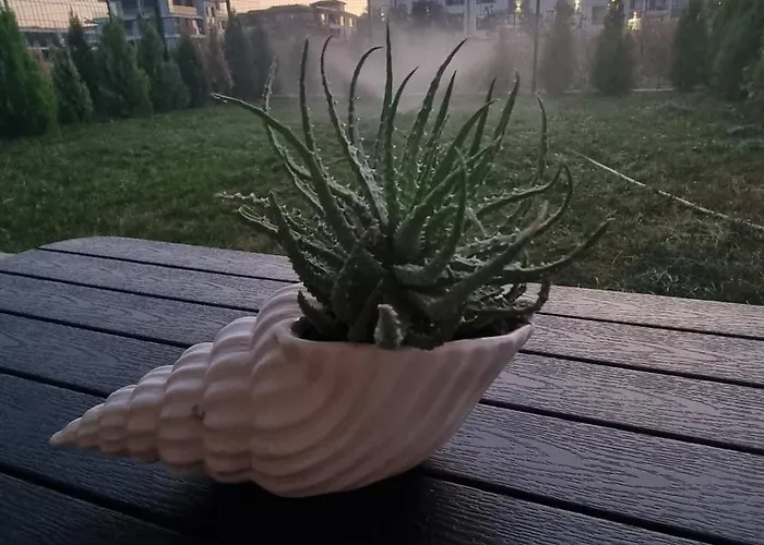 Apartamento амира за гости - Amira Guest Burgas